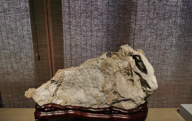 苏州太湖水石艺术馆开馆，最美太湖水石在这里