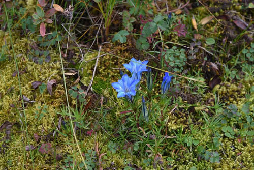  「我国」我国最“发展迅猛”的省会，成都合肥均上榜，还有一个
