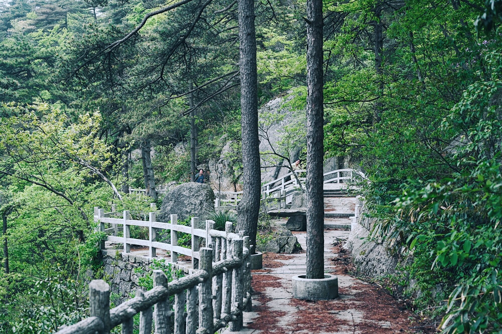 走进北纬30°的天柱山，一处风光秀丽又神秘的地方