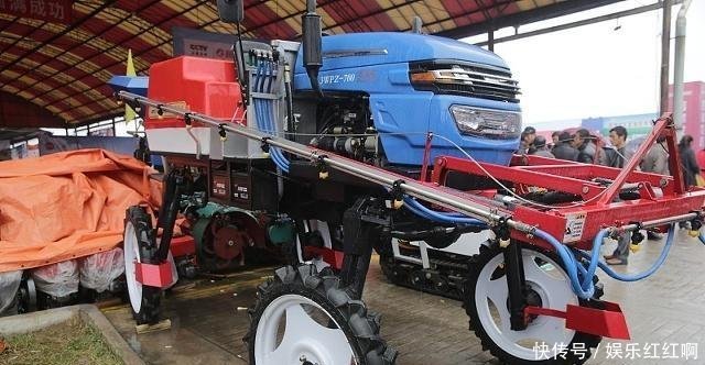 现在农村种地大户，到底挣不挣钱，农村小伙精心分析，结果很意外