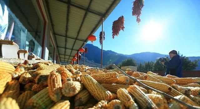 专家套路深：动不了污染企业的蛋糕，却把环保风暴吹到农村来？