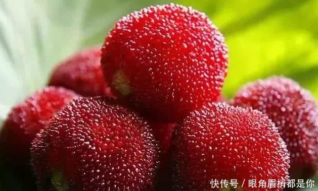 江苏未来有一座人人向往城市，不是苏州也不是南京，你能想到谁？