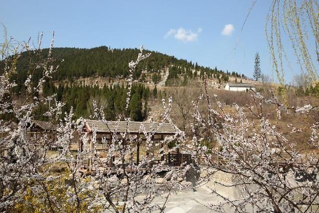  『迈向』「“疫”后花开 迈向诗和远方」“齐鲁第一古村”济南章丘朱家峪景区