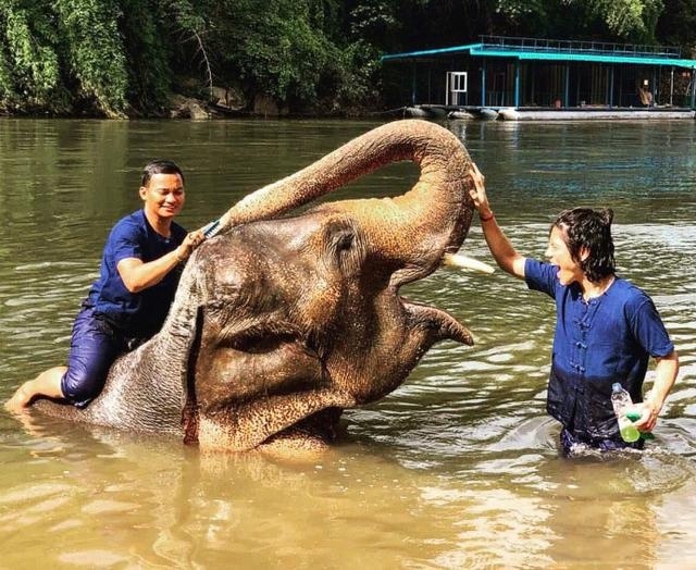 向佐晒照与托尼贾在泰国和小象一起玩,向佐非