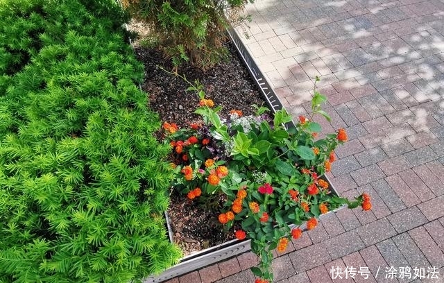 荣耀华为20多少钱