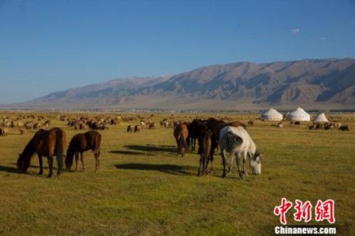 新疆巴里坤湿地秋色风光 美如画