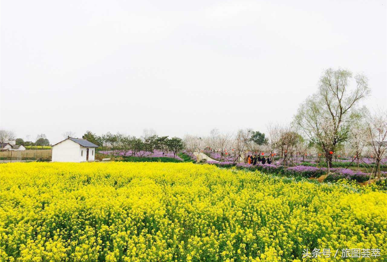 湖北唯一没通高铁的地级市,即将新建高铁站,实