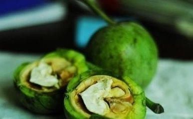 青皮核桃泡酒的功效与作用