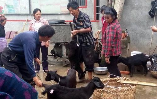  条件：农村三个行业还不晚。各方面条件优秀，创业良好