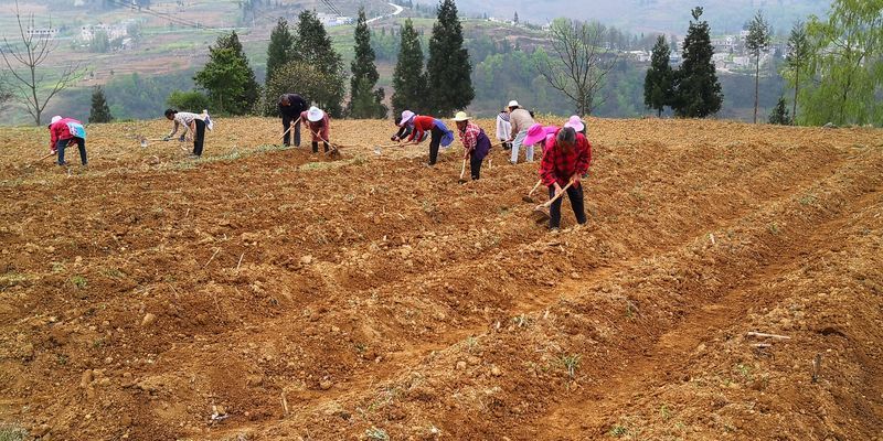  【贵州】贵州六枝：“干鱼塘”抢春