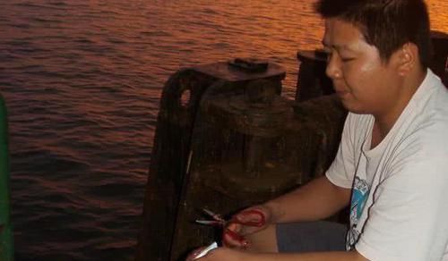  【鲅鱼】海边钓此鱼，一来就是一群，大连人叫它“鲐鲅鱼”