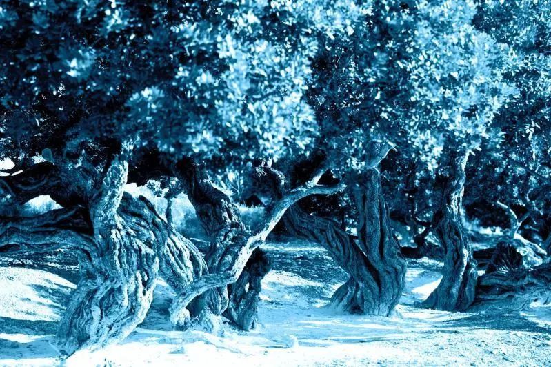 这个夏天，继续开启#蓝色乐活#力吧!