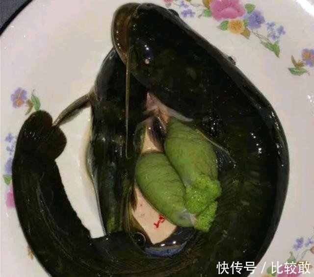  【误食】春天钓到这“三”种鱼，千万别误食鱼子，其中一种毒性最大！