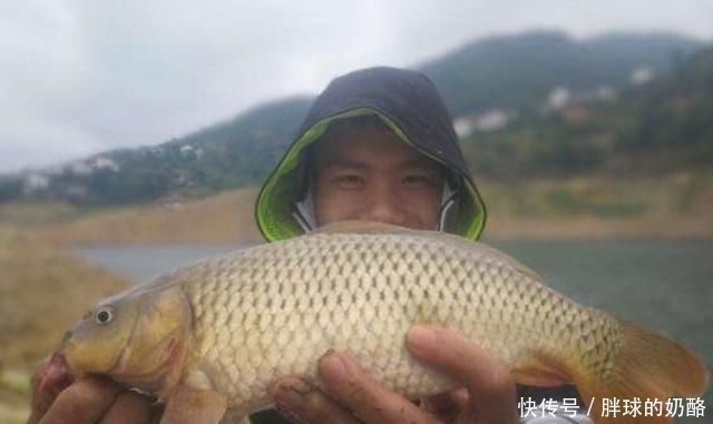 「大鲤鱼」一提库钓就来劲,“征服”鲤鱼就用这诱鱼绝技,现在不用太亏了