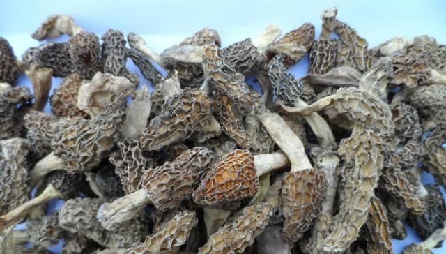  妄想：种植规模连年暴增，价格一年比一年低，捂到发臭都不卖还