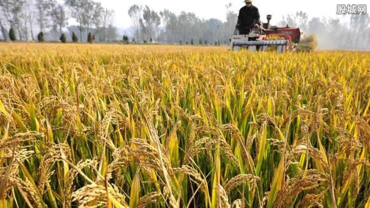 2019种粮补贴 今年粮补什么时候下发