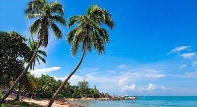 中国“最适合过冬”的地方,吸引众多国内外游客,却不是三亚