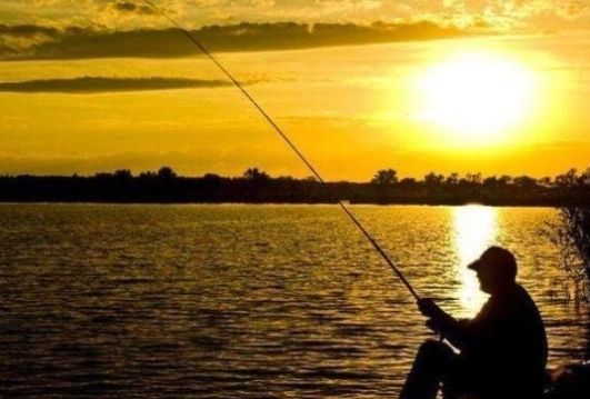  「黄金」秋季是钓鱼的“黄金期”，这三个时间段去钓，鱼多还好