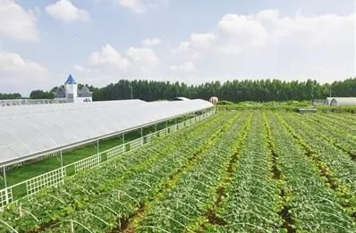 有本钱的农民朋友可以回家试试这2个项目未来几年，会很吃香