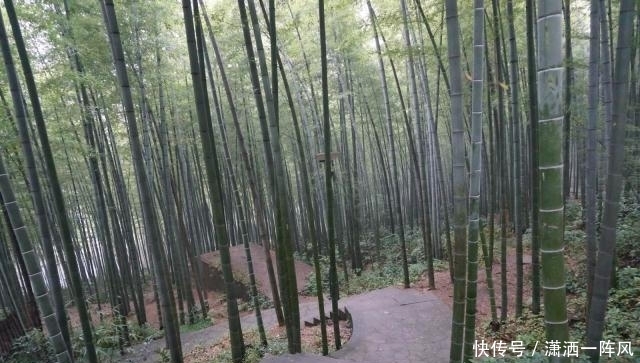 重庆被忽视的一处公园景点,是4A级景区,被打造成国家级森林公园