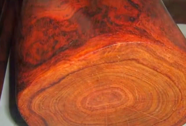 农村一种难得一见的树木，被人当成柴火烧了，殊不知比紫檀珍贵