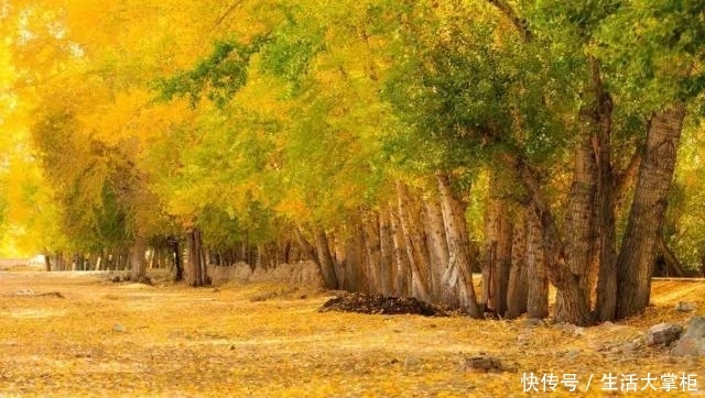 国庆新疆7日游攻略：访北疆晚秋，喀纳斯+禾木村+五彩滩+可可托海