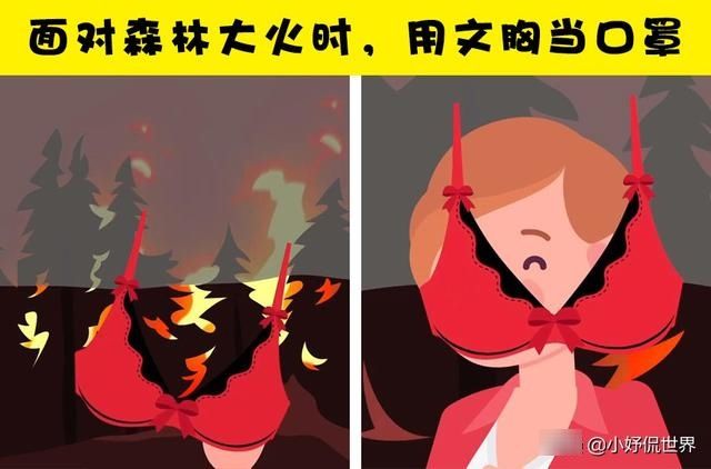 『捕食者』8个或许可以在紧要关头拯救生命的小技巧