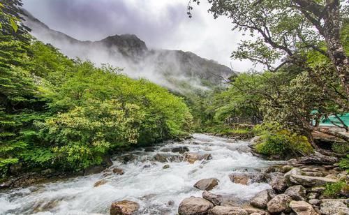 四川康定有个杜鹃峡谷，水美不输九寨沟，云雾升腾似仙境