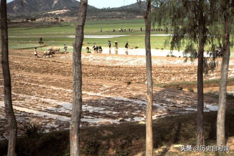  #边防检查#1972年深圳老照片：边界附近的村庄；罗湖边防检查站