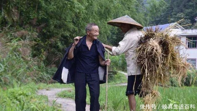 农民需不需要领取养老金？专家说出3点，农民：给你点赞