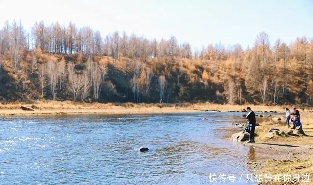 呼伦贝尔的秋天，美的太高级