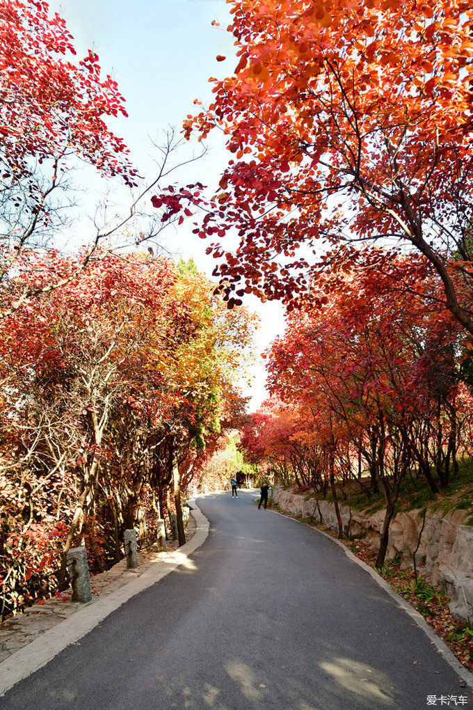 红遍万山的红叶谷【2020热门旅游景点】