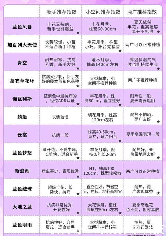  「品种」梦幻悠长，无法抗拒，月季的那抹蓝紫色美得清凉又高级！