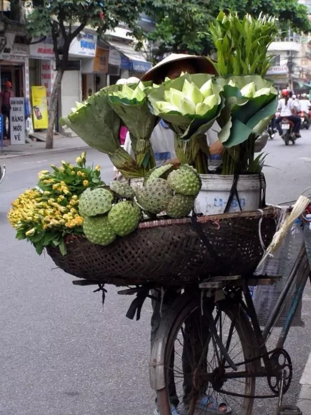  #盘点#盘点一组照片，来欣赏下美丽的越南风景吧！