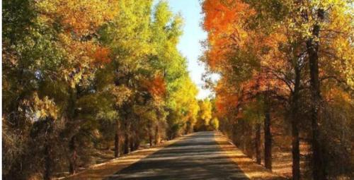 美丽的浪琴湾，一年四季都有不同的美景