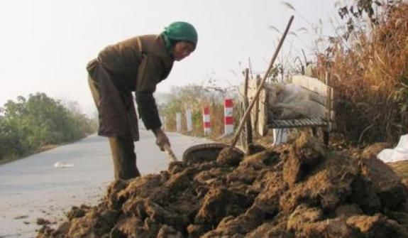  「好处」农家肥料给农作物和土地带来的好处是什么