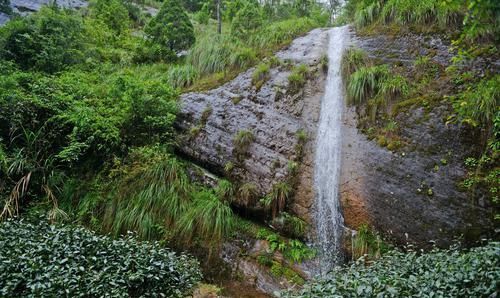 中国著名避暑胜地，位于赣闽两省交界，这里山水秀美茶香四溢