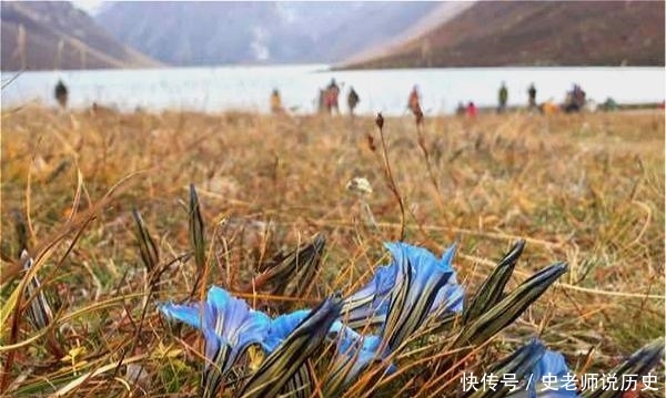  「花名」花名以“龙胆”命名，开花特漂亮，李时珍说它“定五脏杀虫毒”