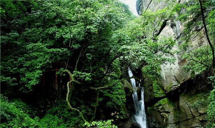 隐藏在南川的绿野仙踪，避暑旅游，清凉打卡不容错过！