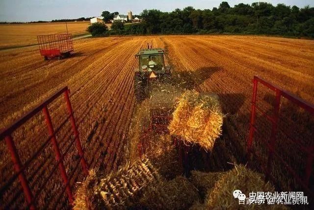 美国农业“集体破产”？补贴太多，产能过剩，中国农业需引以为鉴