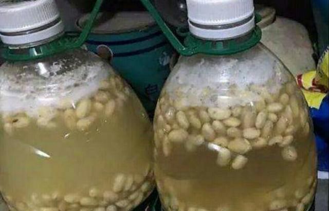  植物■兰花和吊兰,为什么叶子总长黄尖?