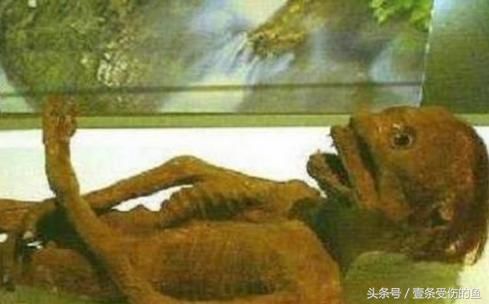 日本寺庙珍藏的水鬼木乃伊,真实面目吓人一跳