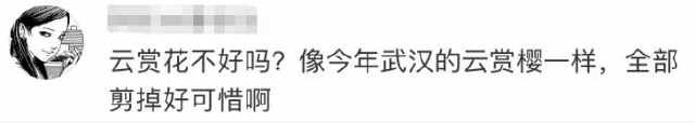  沙子：剪紫藤花、砍郁金香、倒鸡粪、往滑板公园填沙子……都是为防人群聚集