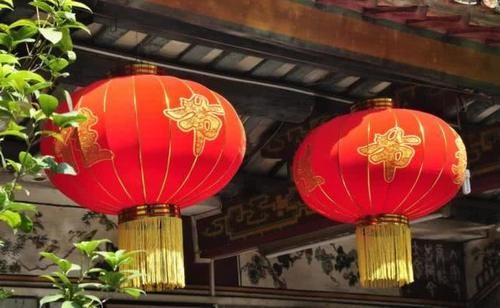  『经验』俗语“豆腐下酒，不如喂狗”，有道理吗？古人的生活经验！