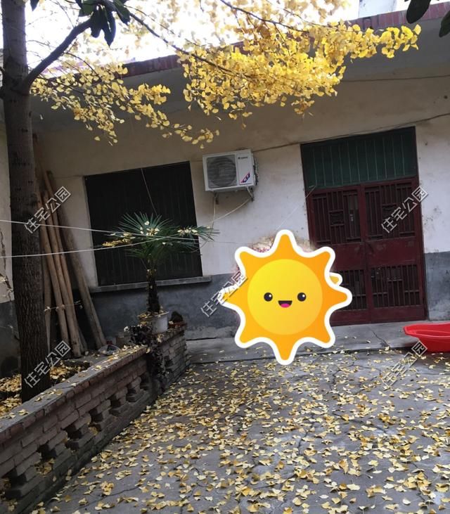  「建起」父母监工、弟弟装门窗、妹夫买建材，50万建起4层农村新