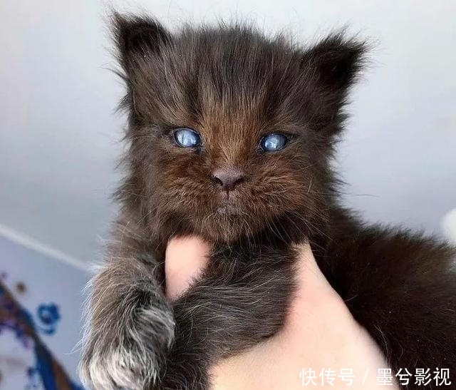 20张罕见的照片,忍不住分享下