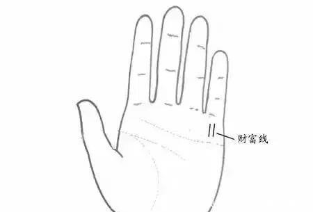 「手纹」具有这样手纹的朋友能够白手起家!