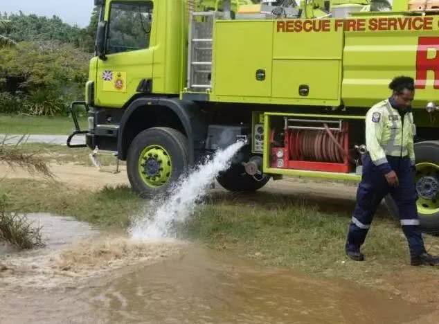 物以稀为贵,绿毛鸭竟能活出大熊猫的既视感
