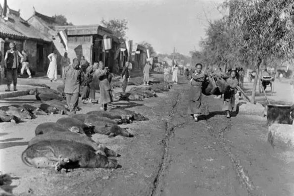  「发现」美国人在鞋盒里发现了6000张中国老照片