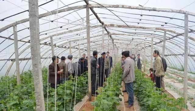  没事■年后，没事做的农民不妨做这4个“新生意”，赚钱嗖嗖的